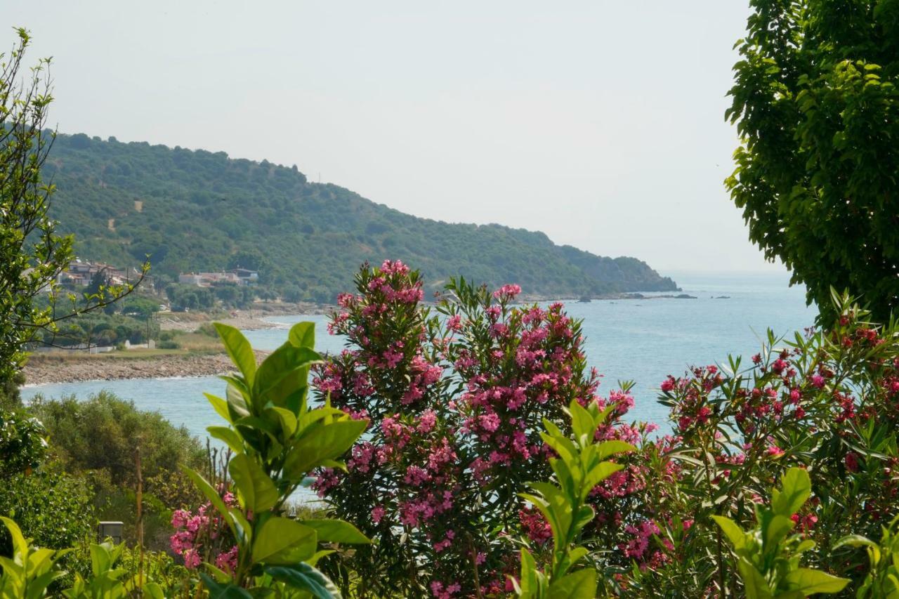 Secret Paradise Villas Loutra Elevtheron Exterior photo